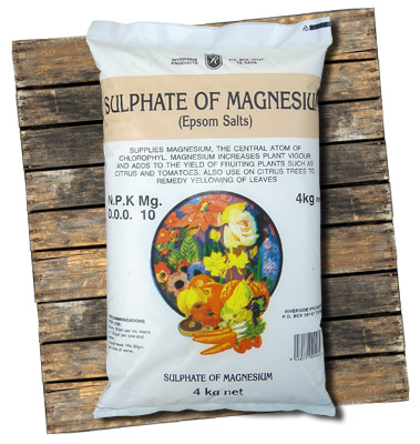 Sulphate of Magnesium Sulphate of Magnesium