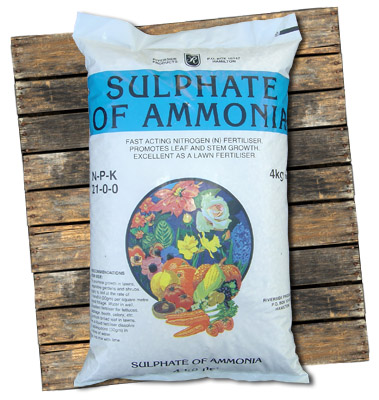 Sulphate of Ammonia Sulphate of Ammonia