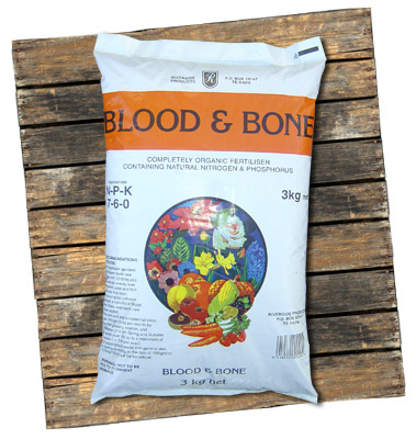 Blood and Bone Blood and Bone