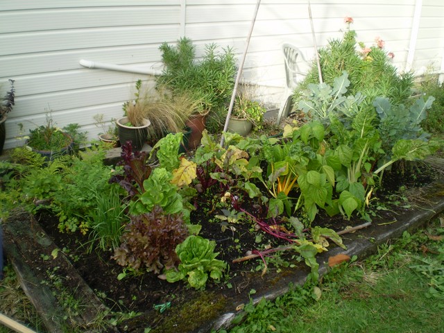 Gardener